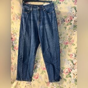 ON 34th High Rise Pleaded Taper Leg Denim Jeans